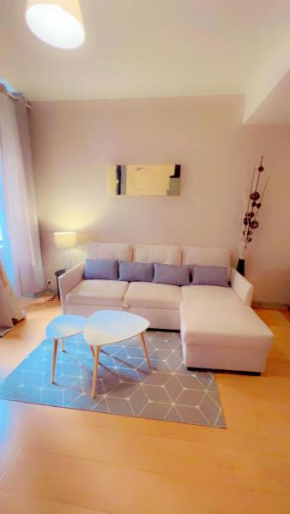 Nid Douillet Chalon Centre Appartement Sublime
